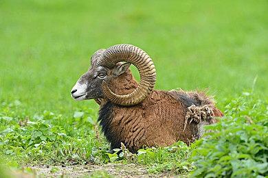 《暗黑》负责人：团队新人很多 制作首款游戏是暗黑4