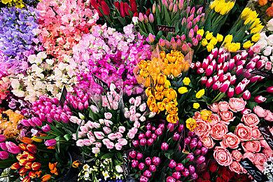 沉浸式潜入动作游戏《冬季余烬》正式发售 支持中文